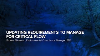Updating Requirements To Manage For Critical Flow