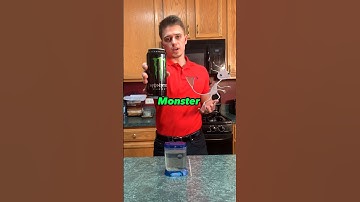 What Happens When You Feed You SeaMonkeys Monster Energy (Pre-workout results)
