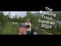 The dancing trout summer 2023