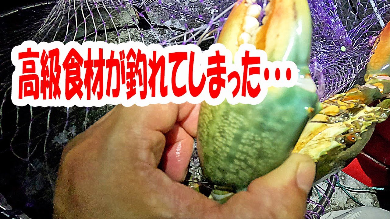 秋のうなぎ釣りで思わぬ外道が釣れた‼　【うなぎ釣り】