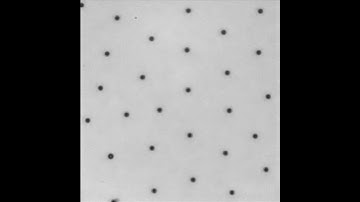 Particle tracking at a fluid interface