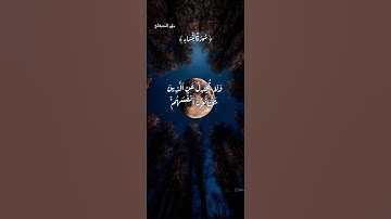 تلاوة خاشعة للقارئ الشيخ ماهر المعيقلي #ماهر_المعيقلي #quran #المصحف