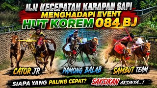 Uji Kecepatan Karapan Sapi Menghadapi Event HUT Korem 084 BJ. 