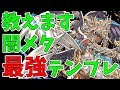 2019年初頭の闇メタ最強テンプレを教えます！【ねててのパズドラ】