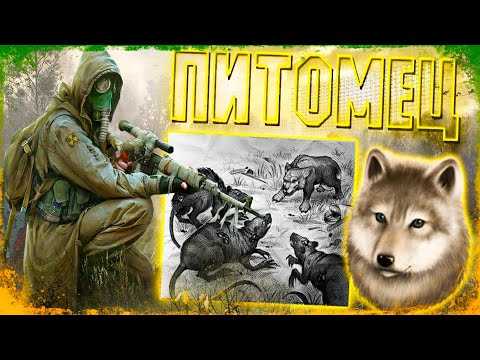 Видео: Правильное Прохождение Day R Survival 🐺 Питомец Волк!