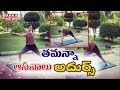 Tamanna fitness Yoga photos hulchul in social media