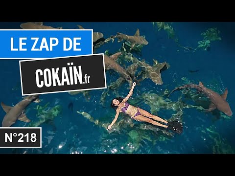 Le Zap de Cokaïn.fr n°218