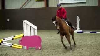 Matchmaker | Flatwork Lesson 24/03/2014
