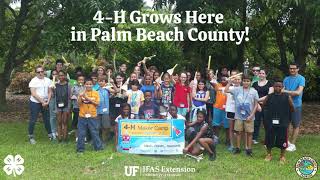 4 H Grows in Palm Beach County!