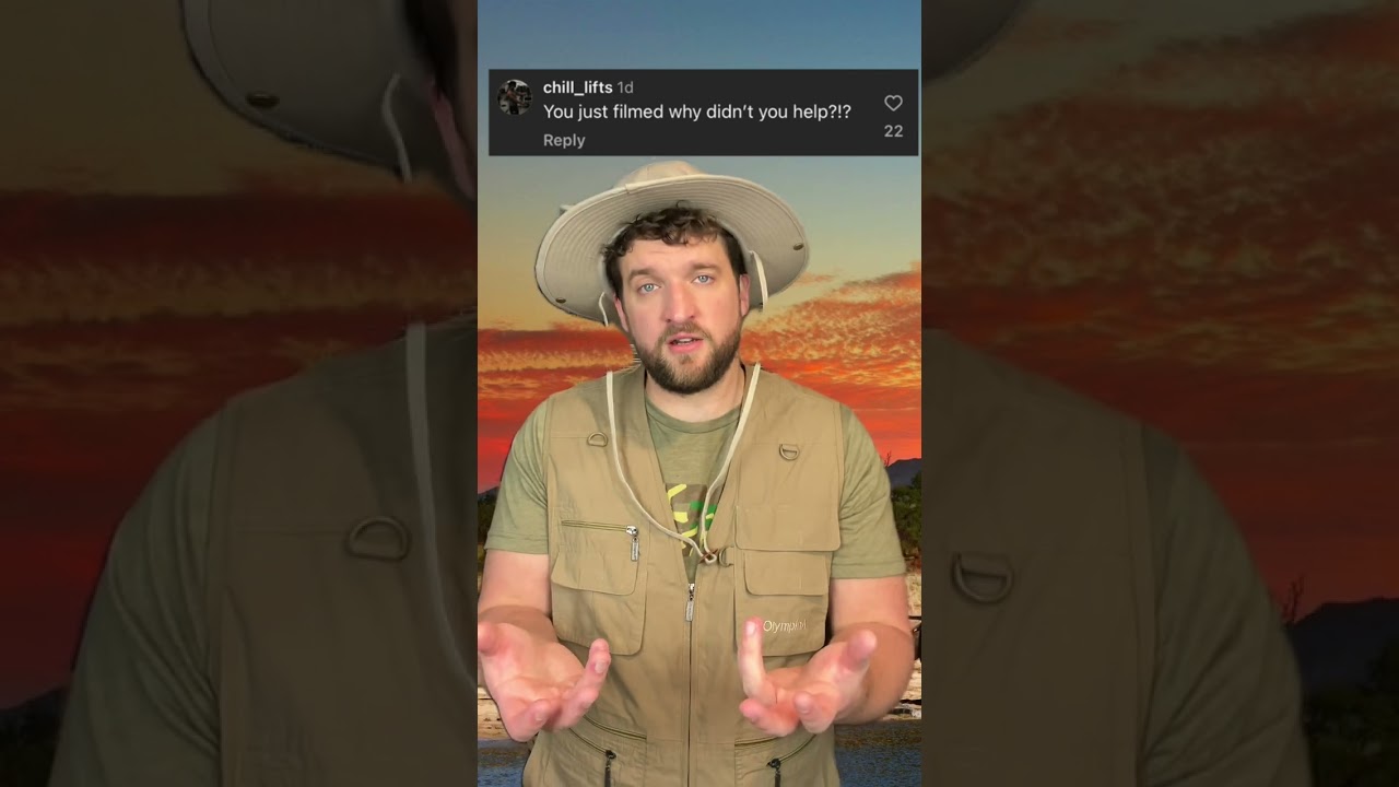 Спасение льва