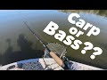 Puddingstone Reservoir Fishing | May 7, 2026