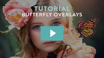 How to Add Butterfly Overlays in Photoshop