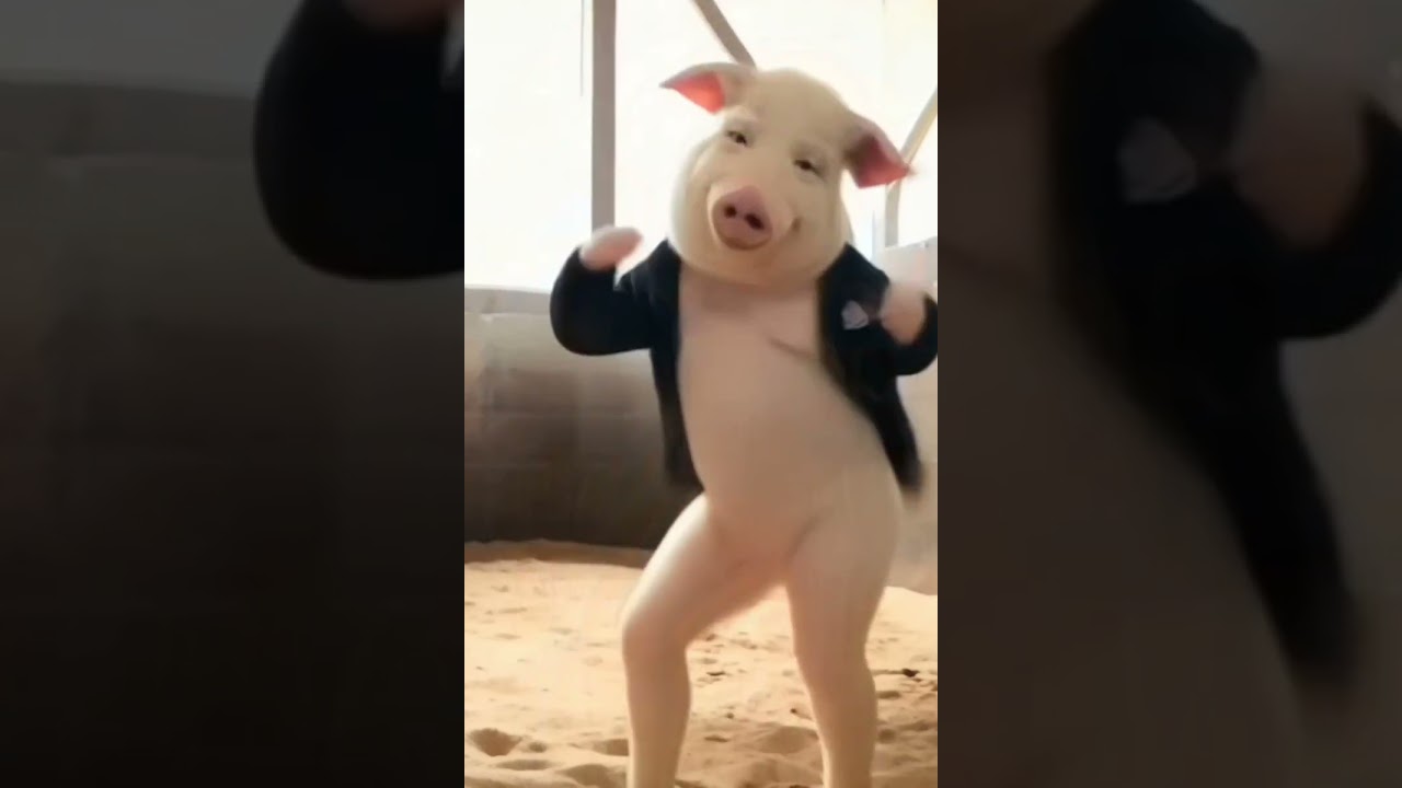 ちとキモい