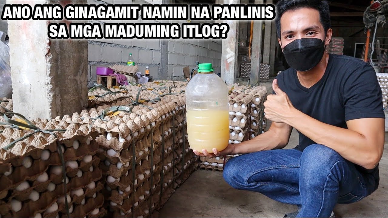 ANO ANG GINAGAMIT NAMIN NA PANLINIS SA MGA MADUMING ITLOG?