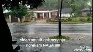 VIRAL !! PENAMPAKAN NAGA DI JAWA TIMUR !!!