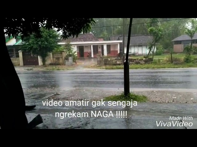 VIRAL !! PENAMPAKAN NAGA DI JAWA TIMUR !!! class=