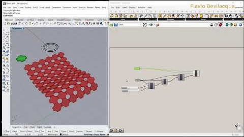 12.GRASSHOPPER. PANELING