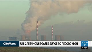 Signs of optimism ahead of climate change summit in Madrid