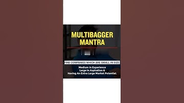 how to identify Multibagger stocks