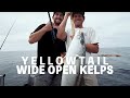 Episode 18: Kelp Paddy Madness - Yellowtail // Dorado