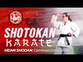 Shotokan Karate | SHORT LESSON: Heian Shodan - Common Corrections