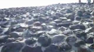 panrotasNews_20100623a.flv