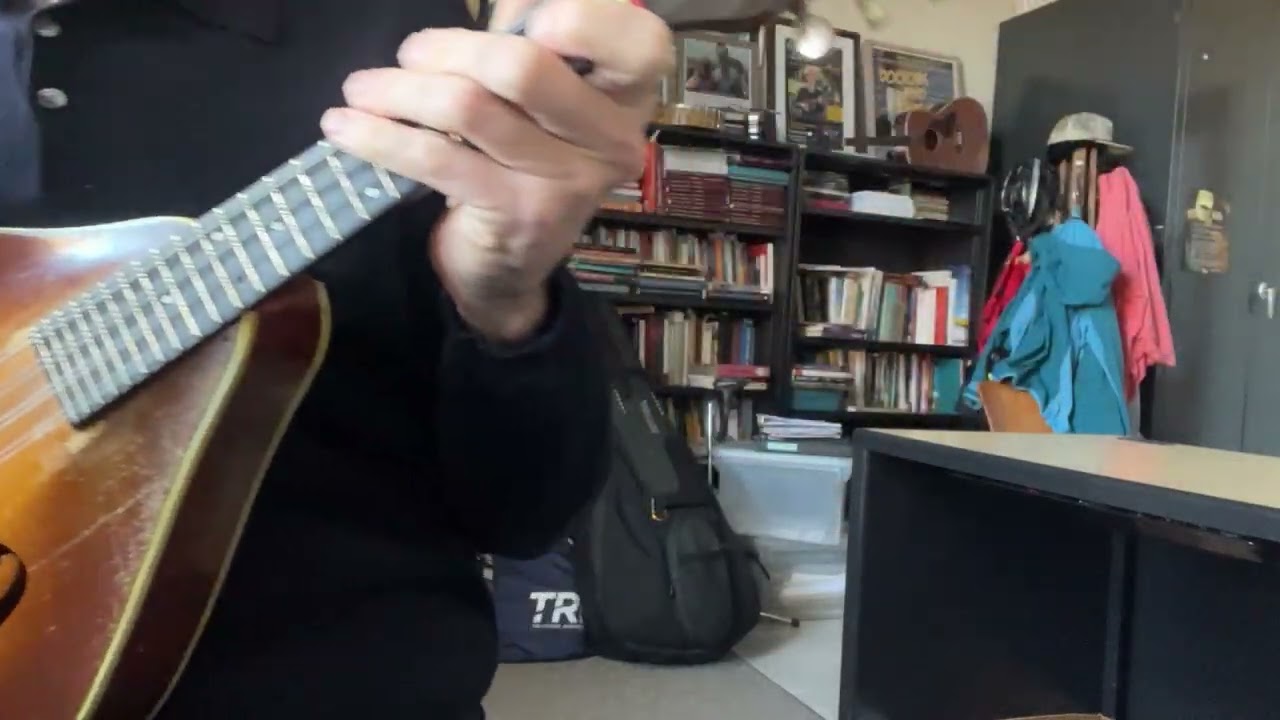 Porter's Reel - mandolin