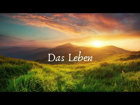 Dein Leben ruft Dich