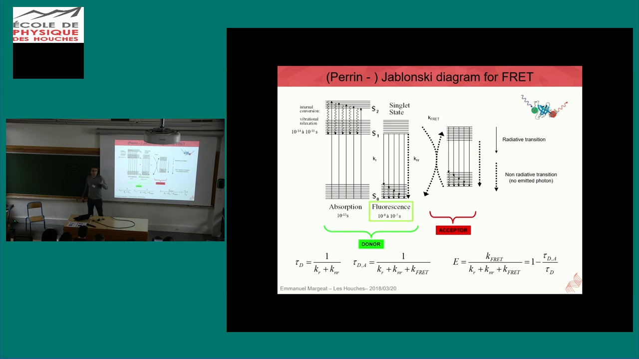 A Dance with Two Dragons : fluorophores  photophysics in the context of FRET