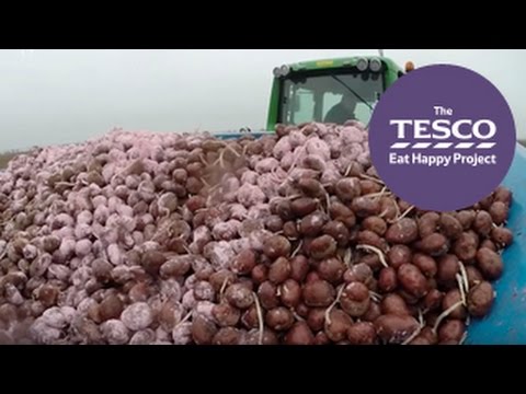 Watch this spud-tacular Online Field Trip to learn where potatoes come from Instructional Video
