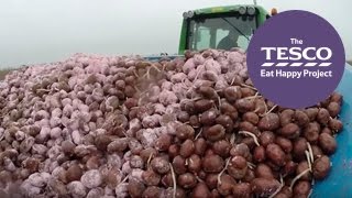 Watch this spud-tacular Online Field Trip to learn where potatoes come from