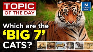 International Big Cats Alliance (IBCA) | UPSC | NEXT IAS