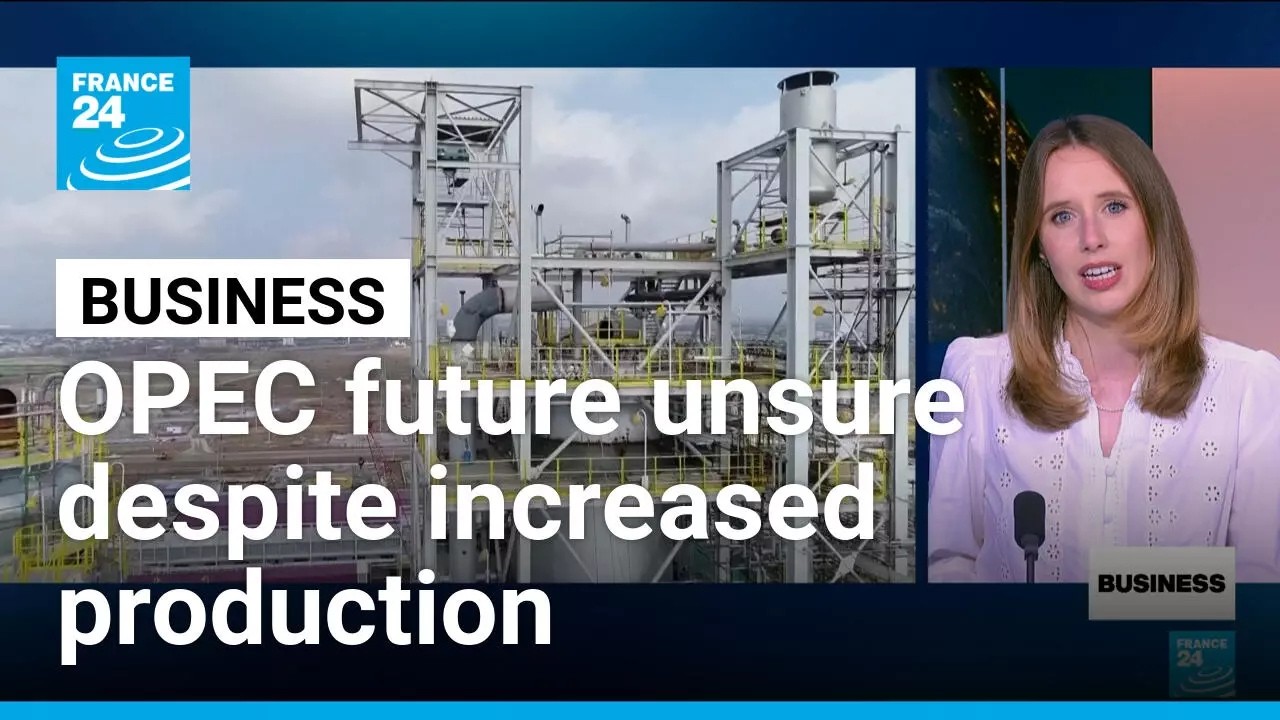 OPEC+ raises output but cartel's future hangs in balance • FRANCE 24 English