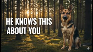 7 Shocking Things Your German Shepherd Knows About You