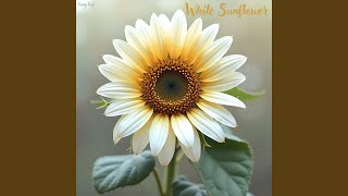 White Sunflower - Yung Kai