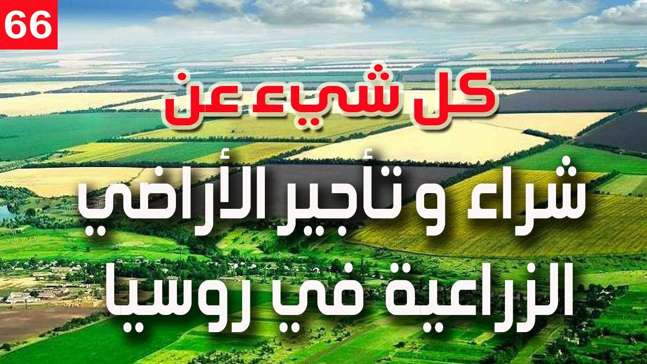 كل شيء عن شراء و تأجير الأراضي الزراعية الروسية 2020/WhatsApp +79194990007