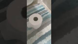 Toilet Paper