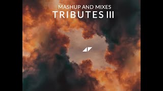 Avicii Mashup &amp; Mixes Tribute III