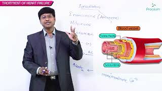 5. Drugs Used In Acute Congestive Heart Failure: Ionodilators (Part - 2): Cvs Pharmacology Usmle