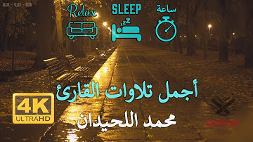 4K ساعة من روائع التلاوات | القارئ محمد اللحيدان | خلفية مطر في الغابة مع صوت المطر | جودة عالية