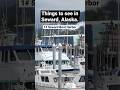 Seward Alaska must see #shorts