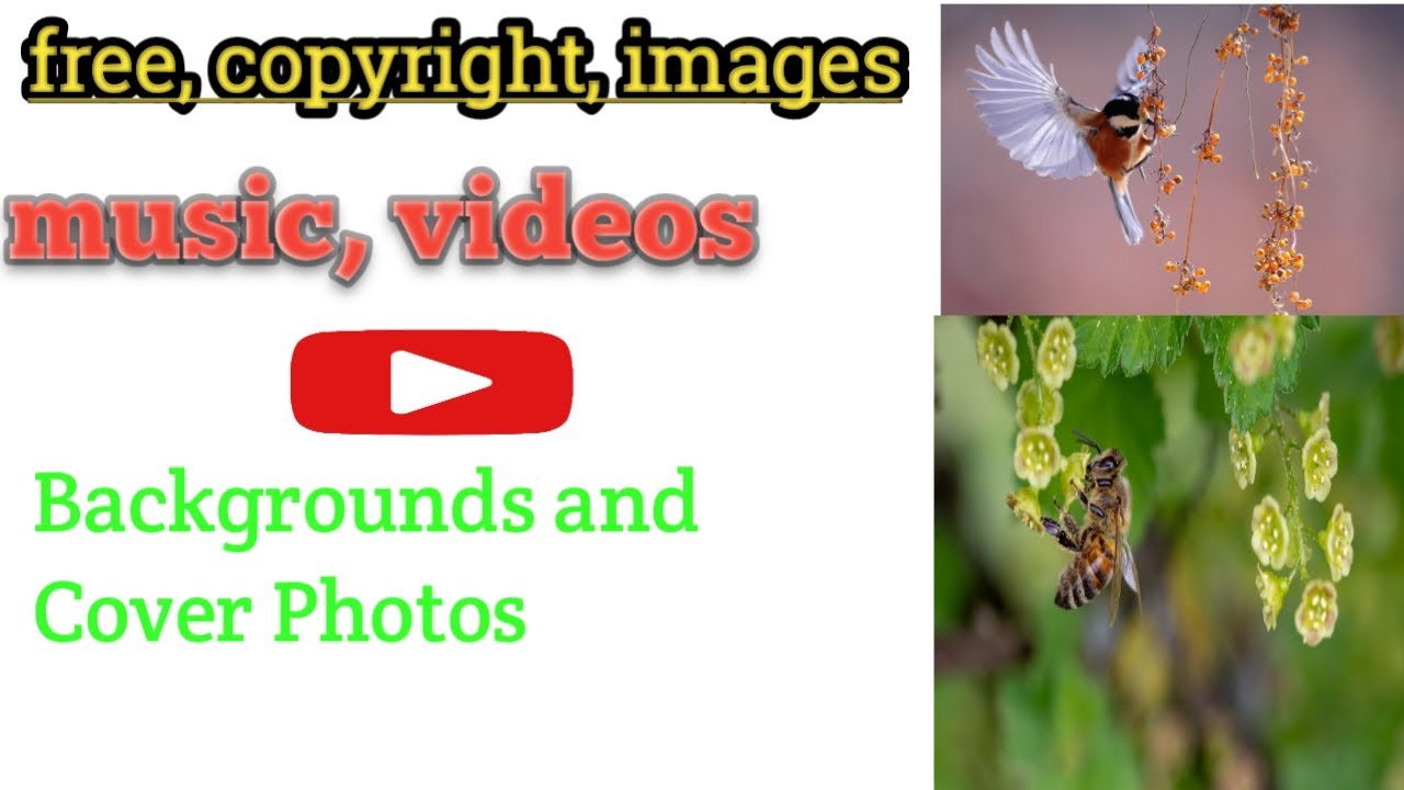 how to download copyright free images from music music