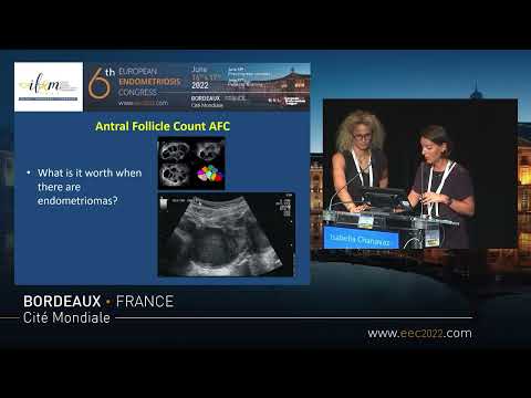 Surgery or ART? Session at the 6th European Endometriosis Congress, Bordeaux 2022