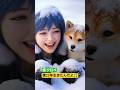 23年生きた【柴犬】【タロベ】をオマージュして、叶わなかった雪遊びをAIで(^^) #犬動画 #犬と猫 #animal #柴犬 #cat #ミンメイ #猫好き #猫 #dog #shorts