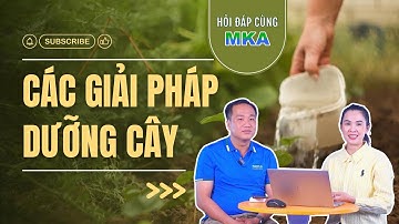 Hỏi đáp cùng MKA - Các giải pháp dưỡng cây trồng hiệu qu, mà nhà làm vườn nên biết