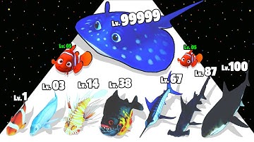 Fish Rush - Unlock Last Fish Max Level Gameplay (Merge Shark)