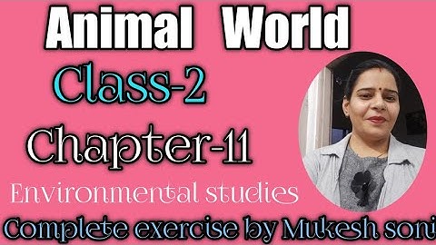 Class-2,Lesson-11,Animal World, Environmental studies Mittsure complete exercise by Mukesh soni
