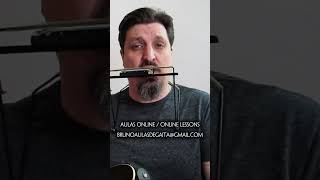 Blues Classic - Walking By Myself (Harmonica &amp; Guitar) #gaita #harmonica #lesson #musiclessons