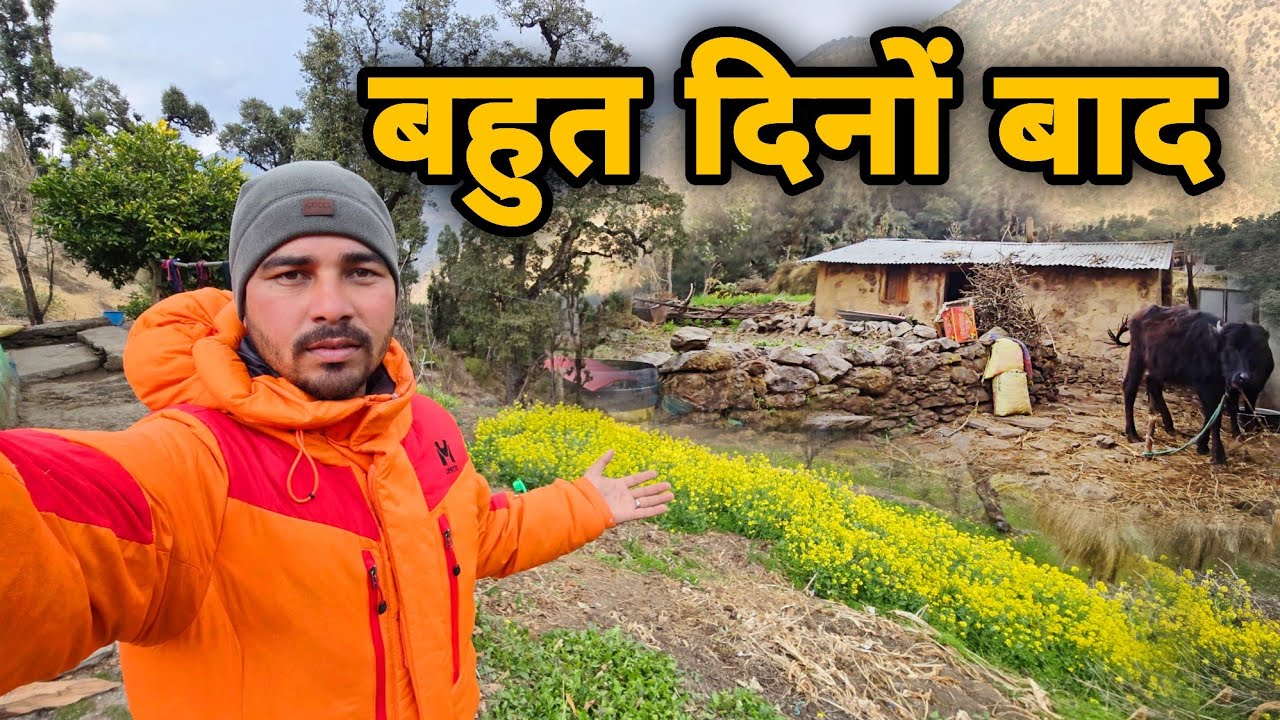 घर के सारे अधूरे काम आज पूरे हुए || village lifestyle vlog || sj family vlog || sujan negi 