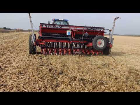 посів озимої пшениці